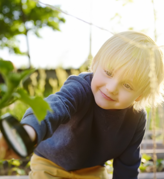 programme & pedagogie explorer