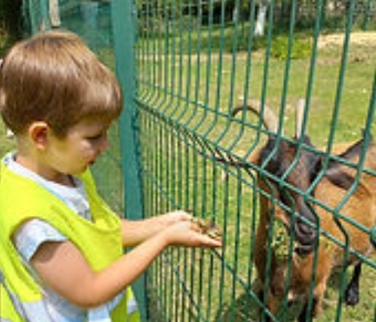 ferme
